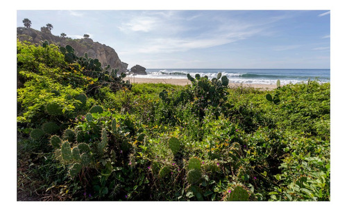 Imagen 29 de 30 de Venta Exclusivos Lotes De Playa , Puerto Escondido