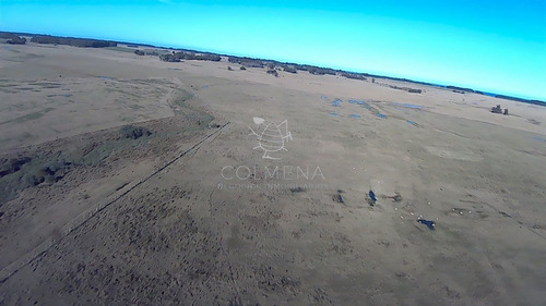Imagen 26 de 28 de Venta Campo Ideal Para Fraccionar En Chacras Codigo 6003 - Las Garzas