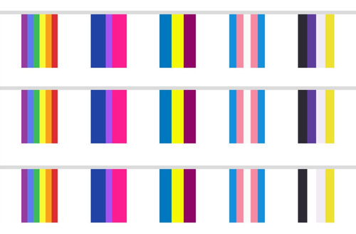 Bandeiras Do Orgulho Gay 10 M/40 Unidades 14* 21 Cm Lésbicas