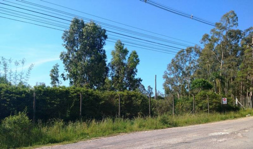 Imagem 4 de 5 de Area Industrial - Linha Julieta - Ref: 6902 - V-6902