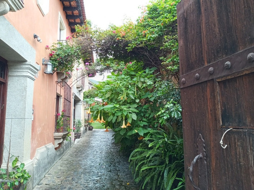 Imagen 1 de 12 de Apartamento De 2 Habitaciones En La Antigua Guatemala 