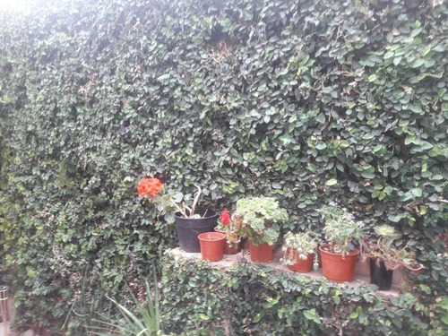 Imagen 3 de 18 de Duplex En Complejo