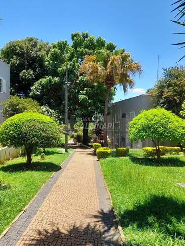 Imagem 16 de 20 de Apartamento À Venda Em Jardim Baronesa - Ap002724