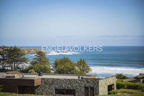 Vista Impactante Punta De Lobos