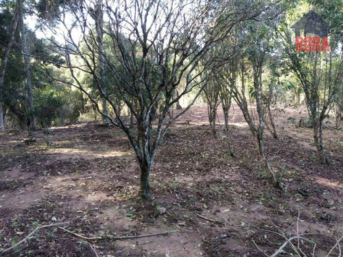 Chacara Mairiporã - Ch0296