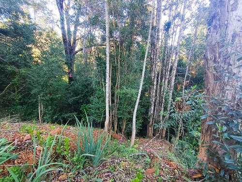 Vende Parcela Cond Piedra Blanca , Valdivia (108616)