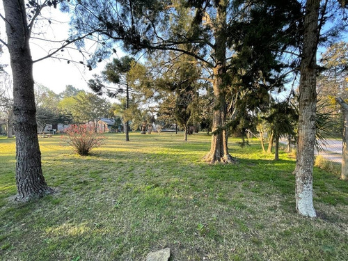 Imagen 11 de 25 de Venta Quinta Casa Berisso; Piscina; Forestacion; Quincho ; Parrilla