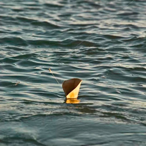 Copos De Papel Para Pesca De Piaparas Ecológico Com 10 Peças