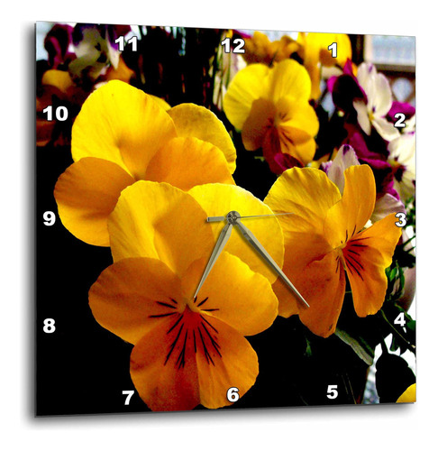 3drose Dpp__2 Yellow Pansy Extreme, Hermosos Pensamientos Am