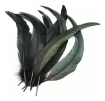 Comprar 40 Plumas De Gallo Naturales,plumas Negro Blanco,25-30cm