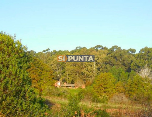 Imagen 2 de 13 de Chacra A La Venta En Laguna Del Sauce