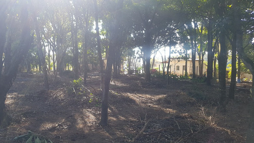 Imagem 10 de 11 de Terreno