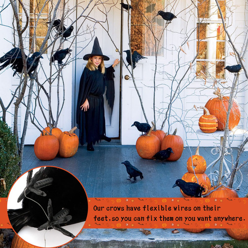 Cuervos De Halloween, Juego De 6 Piezas Halloween Black