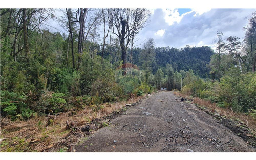 Parcela Con Bosque Nativo En Puerto Varas