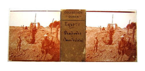 Antigua Foto Estéreo Placa Vidrio 1897 Egipto Shejoubs F3