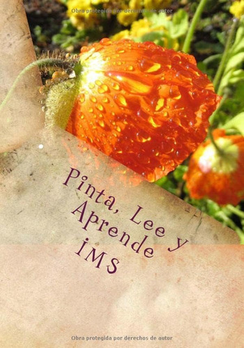 Libro: Pinta, Lee Y Aprende (spanish Edition)