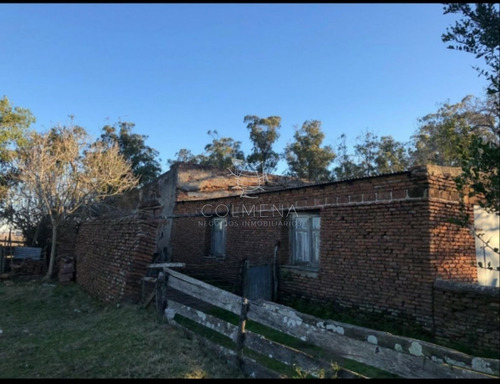 Imagen 23 de 29 de Campo En Jose Ignacio - Jose Ignacio