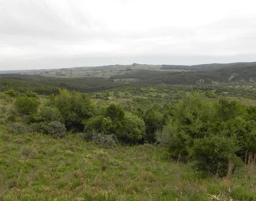 Imagen 8 de 14 de Quinta En Venta En Garzon