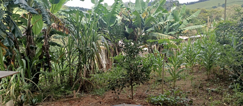 Chácara Com Casa 1.000 Mts Ibiúna