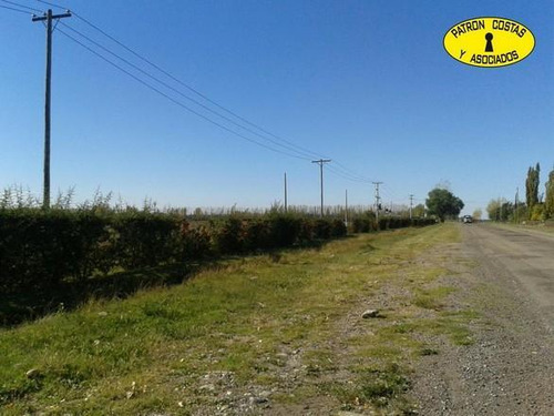 1882sa-lote De 5.000 M2 En San Rafael Mendoza