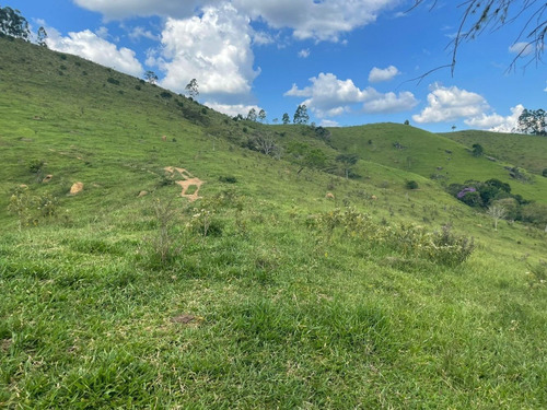 Imagem 14 de 14 de E88- Terreno Em Área Rural Com Ótima Topografia