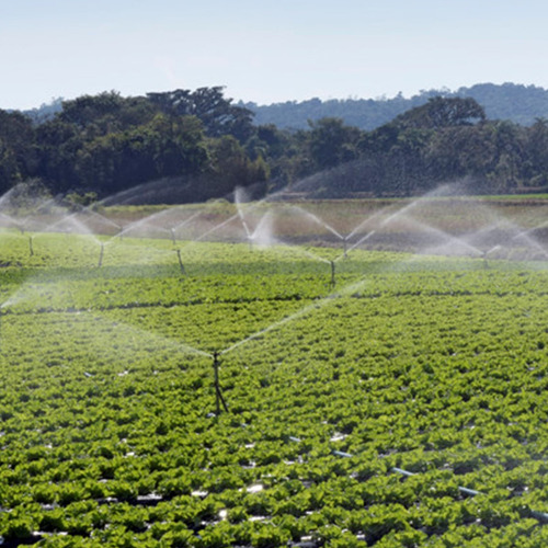 Aspersor Agricola Implebras Irrigação Im22 Rosca 1/2 Kit 3un