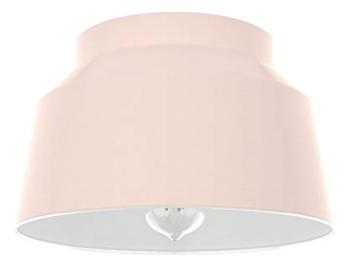 Hunter Fan Company 19172 Cranbrook Flush Mount Light, Blush