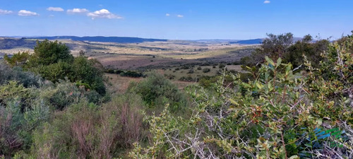 17 Has En Plena Sierra De Carape, Monte Nativo Y Vistas Privilegiadas