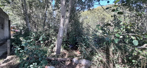 Imagen 4 de 7 de Terreno En Las Toninas
