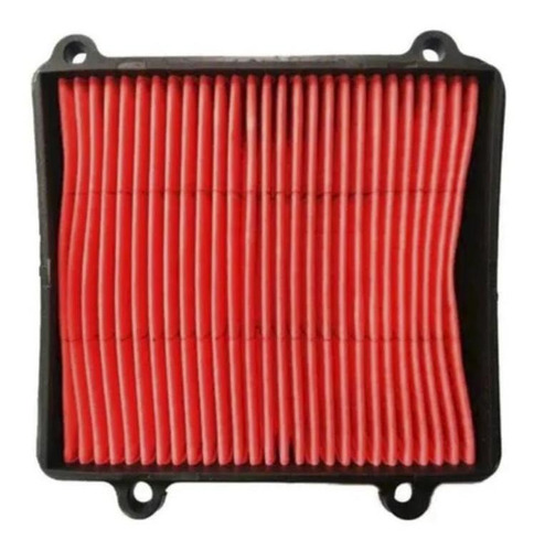 Filtro De Aire Para Moto Honda Xr 125l (12-14) Riffel