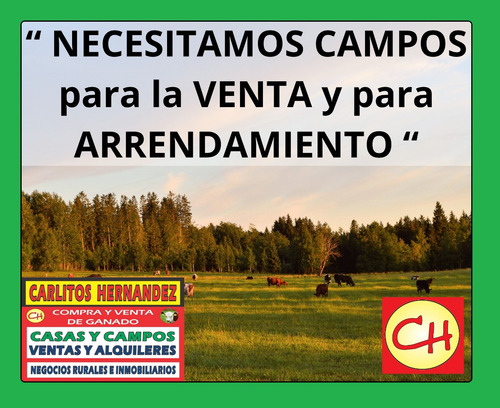 Ref 1023) ** V - Campo - Excelente Chacra De Unas 9 Has Con 2 Casas Y Con Costa Al Río San José, Es Sobre Camino De La Costa, En San José Para La Venta