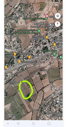 Terreno En Venta En Carlos Real (san Carlos), Lerdo, Durango