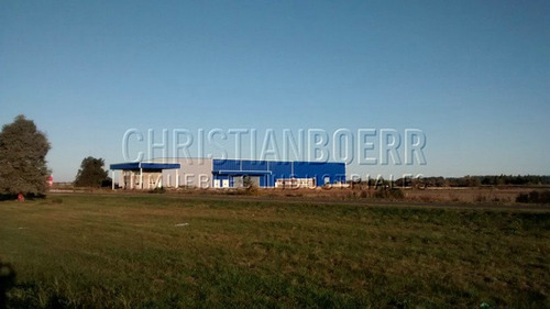 Imagen 1 de 7 de Zárate, Centro Distrib 4.200m² A Estrenar Sobre Panamericana
