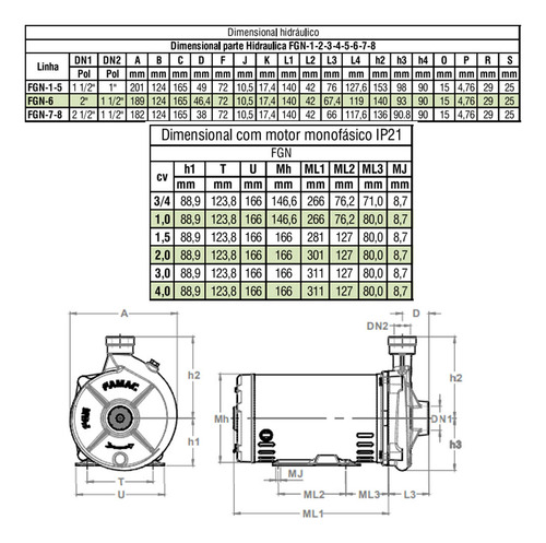 Bomba Centrifuga Famac Fgn-2 4cv 220/380v Mono Motor Weg