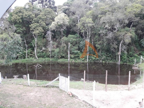 Chácara 4.000m², 02 Casas, Tanque De Peixe, Em Campestrinho - Mandirituba/pr. - Cha007 - 68995278