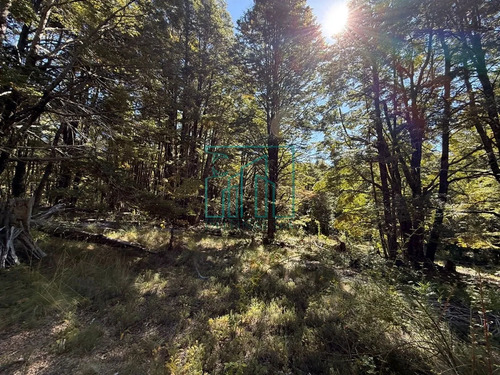 2,6 Ha Palguin Alto - Pucon