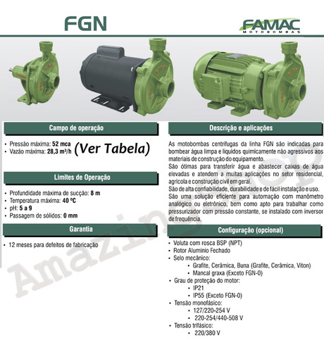 Motobomba Centrífuga Fgn-2 2cv Motor Weg I P 55 Trif Famac