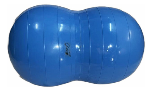 Pelota Mani Ovalada Pilates Rolo 50 X 30 Gym Fitness Pilates