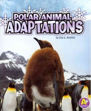 Polar Animal Adaptions - Lisa Amstutz