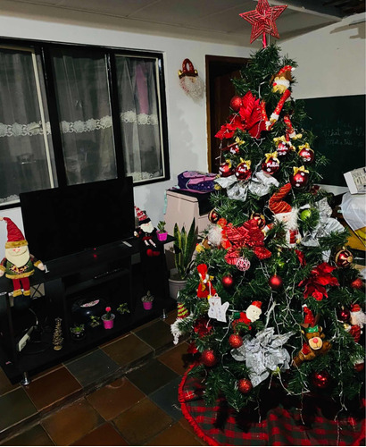 Árbol De Navidad 1-80 Mts De Alto