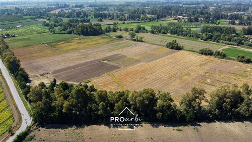 Imagen 1 de 28 de Parcela Agrícola De Suelos I-r En Venta En Paine