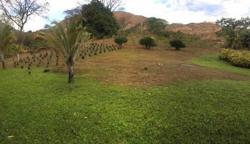 Imagen 26 de 30 de Parcela Con Bienhechurías En San Juan De Los Morros, Guárico