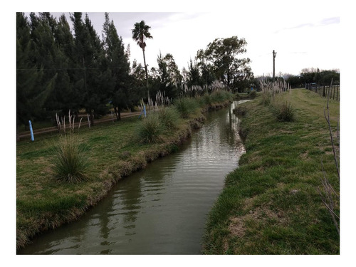 Imagen 13 de 27 de Campo Venta 3 Cabañas Pileta, Laguna, Cancha De Fútbol, Arbolada -1.8 Hectáreas - Magdalena