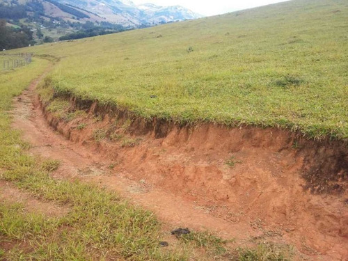 Imagem 6 de 29 de Fazenda De Gado Com 263 Hectares Itajuba - 36525