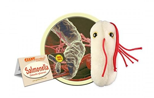 Microbio Gigante Salmonella Typhimurium Peluche