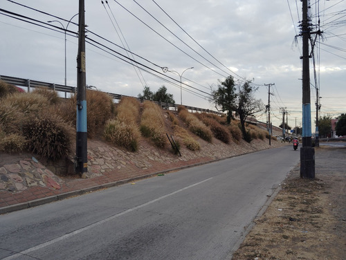 Isabel Riquelme, Casa Dos Pisos, Solida, Pareada