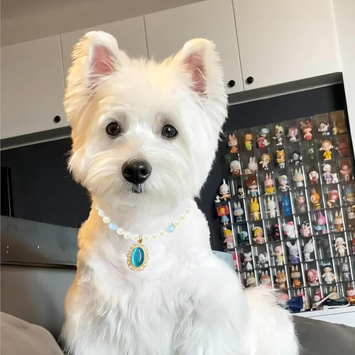 Collar De Gato Con Perlas Teumessian, Collares Ajustables De