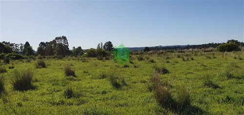 Imagen 2 de 5 de Agricola Venta Las Lomas, Río Maullin Puerto Montt