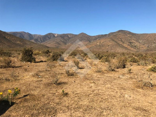 Agrícola En Venta En Andacollo