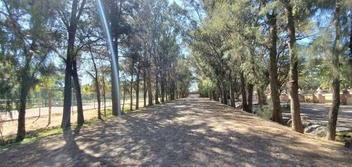 Imagen 23 de 30 de Casa En Los Laureles 1a Secc, Celaya